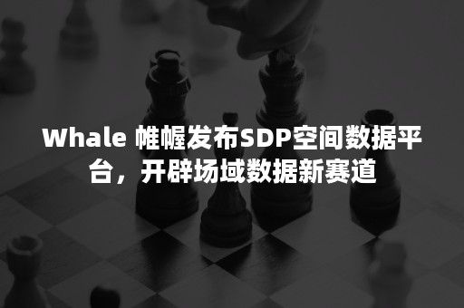 Whale 帷幄发布SDP空间数据平台，开辟场域数据新赛道