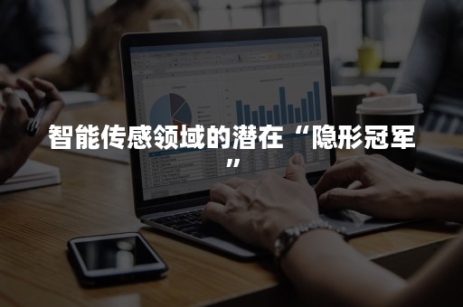 智能传感领域的潜在“隐形冠军”