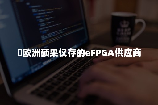 ​欧洲硕果仅存的eFPGA供应商