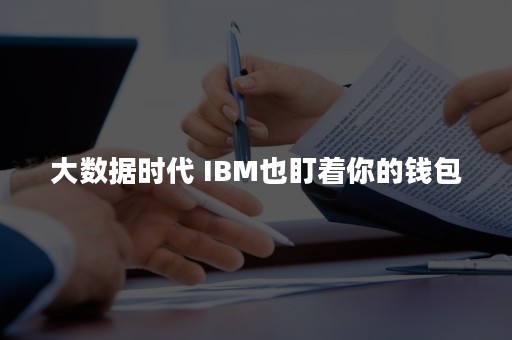 大数据时代 IBM也盯着你的钱包