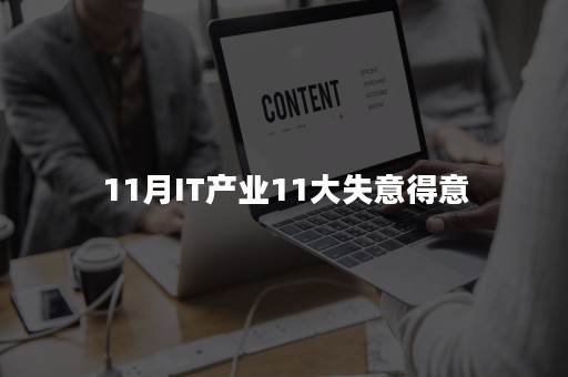 11月IT产业11大失意得意