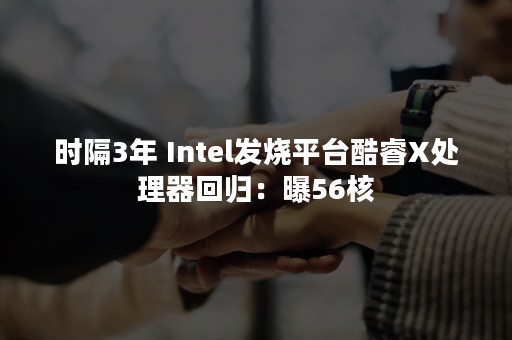 时隔3年 Intel发烧平台酷睿X处理器回归：曝56核