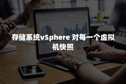 存储系统vSphere 对每一个虚拟机快照