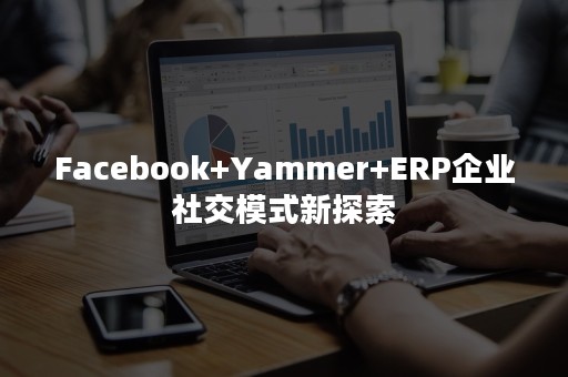 Facebook+Yammer+ERP企业社交模式新探索