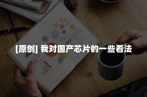 [原创] 我对国产芯片的一些看法