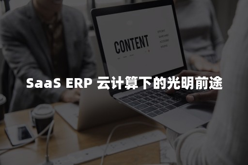 SaaS ERP 云计算下的光明前途