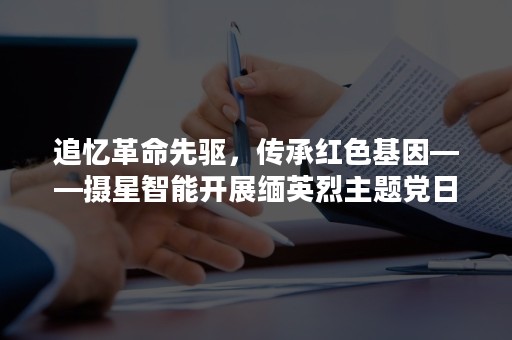 追忆革命先驱，传承红色基因——摄星智能开展缅英烈主题党日团建