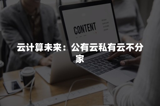 云计算未来：公有云私有云不分家