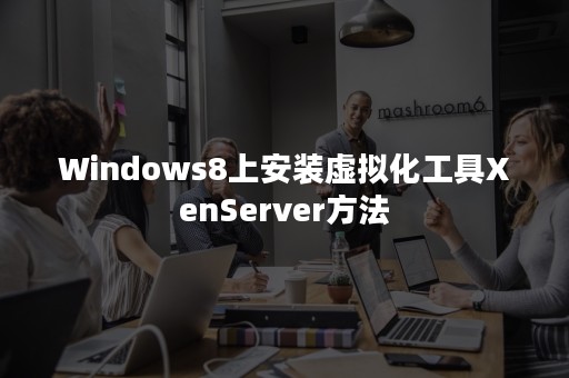 Windows8上安装虚拟化工具XenServer方法