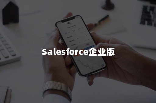 Salesforce企业版