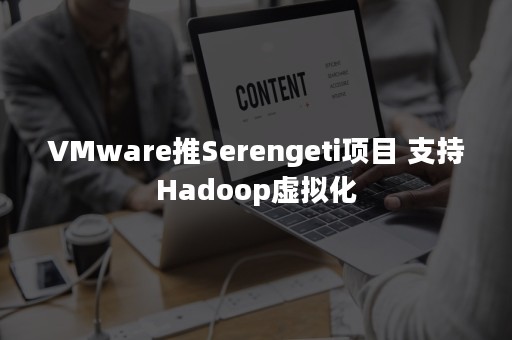 VMware推Serengeti项目 支持Hadoop虚拟化