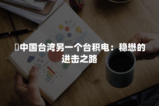 ​中国台湾另一个台积电：稳懋的进击之路