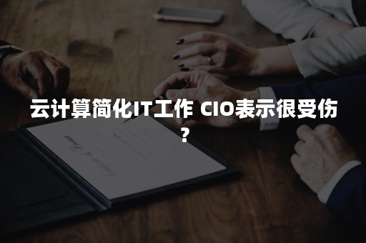 云计算简化IT工作 CIO表示很受伤？