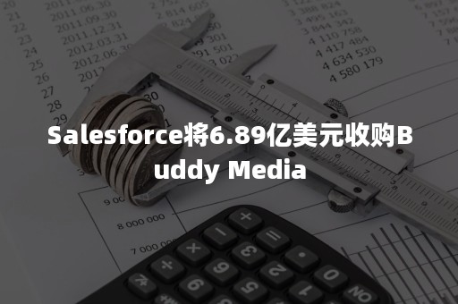 Salesforce将6.89亿美元收购Buddy Media