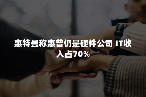 惠特曼称惠普仍是硬件公司 IT收入占70%