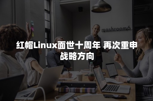 红帽Linux面世十周年 再次重申战略方向