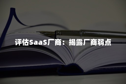 评估SaaS厂商：揭露厂商弱点