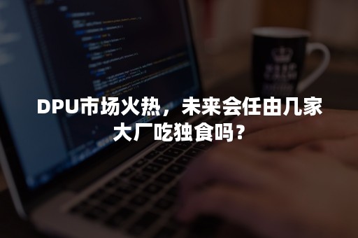 DPU市场火热，未来会任由几家大厂吃独食吗？