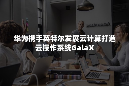 华为携手英特尔发展云计算打造云操作系统GalaX