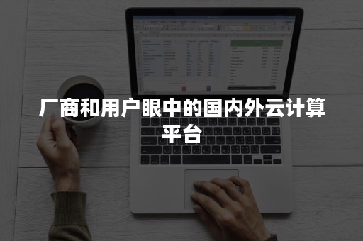 厂商和用户眼中的国内外云计算平台