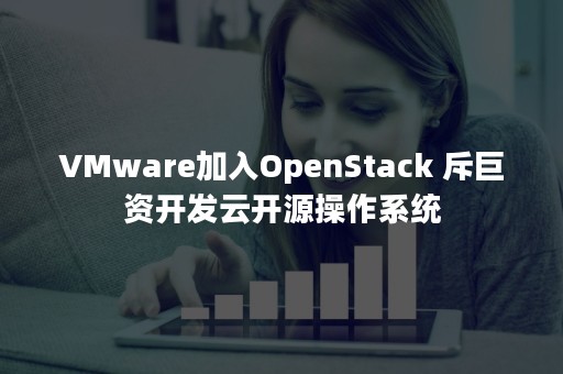 VMware加入OpenStack 斥巨资开发云开源操作系统