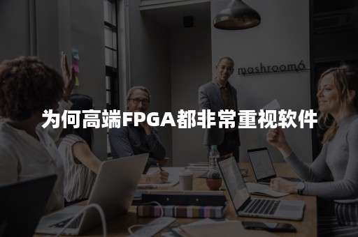 为何高端FPGA都非常重视软件