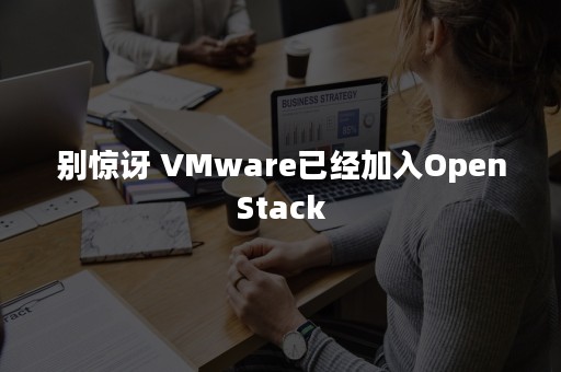 别惊讶 VMware已经加入OpenStack