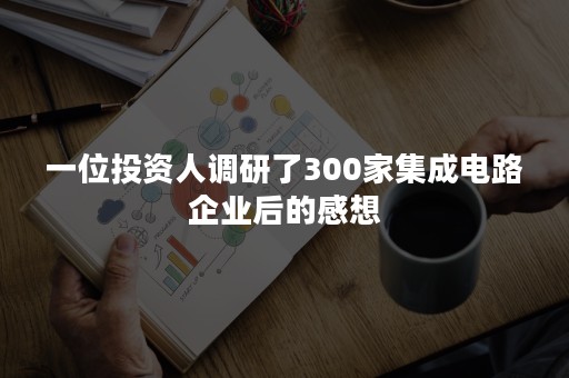 一位投资人调研了300家集成电路企业后的感想