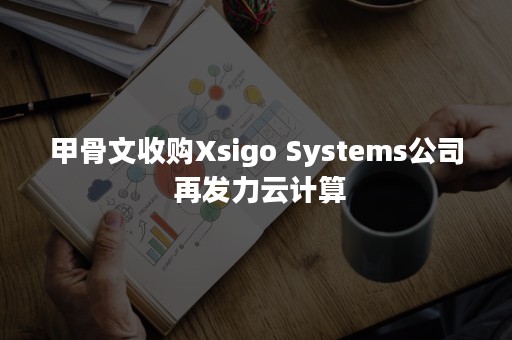 甲骨文收购Xsigo Systems公司 再发力云计算