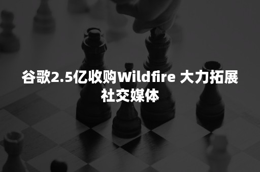 谷歌2.5亿收购Wildfire 大力拓展社交媒体