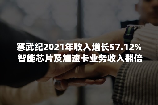 寒武纪2021年收入增长57.12% 智能芯片及加速卡业务收入翻倍