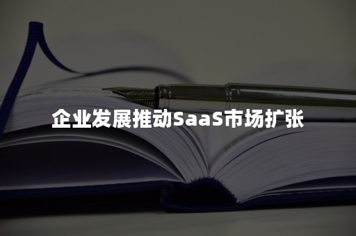 企业发展推动SaaS市场扩张