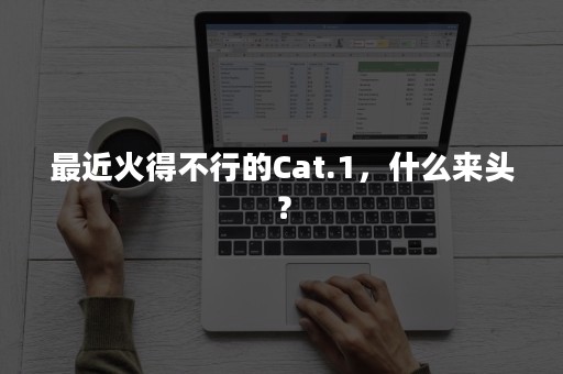 最近火得不行的Cat.1，什么来头？