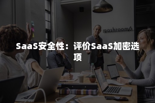 SaaS安全性：评价SaaS加密选项