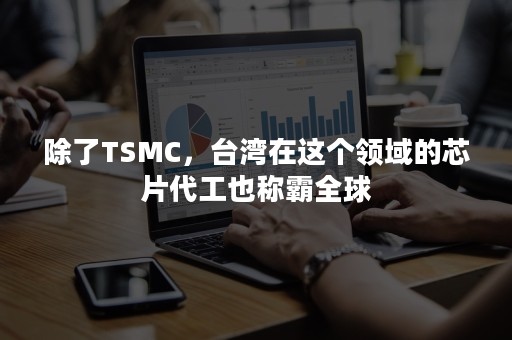 除了TSMC，台湾在这个领域的芯片代工也称霸全球