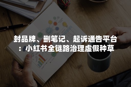 封品牌、删笔记、起诉通告平台：小红书全链路治理虚假种草