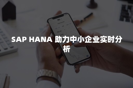 SAP HANA 助力中小企业实时分析