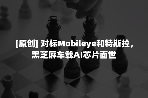 [原创] 对标Mobileye和特斯拉，黑芝麻车载AI芯片面世