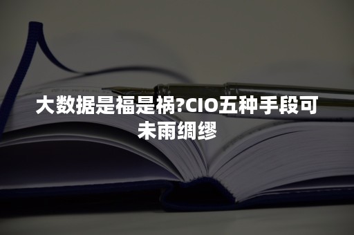 大数据是福是祸?CIO五种手段可未雨绸缪