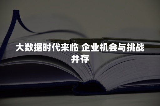 大数据时代来临 企业机会与挑战并存