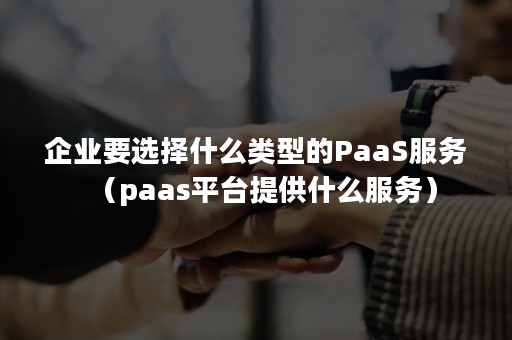 企业要选择什么类型的PaaS服务（paas平台提供什么服务）