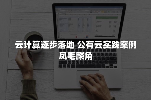 云计算逐步落地 公有云实践案例凤毛麟角