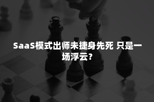 SaaS模式出师未捷身先死 只是一场浮云？