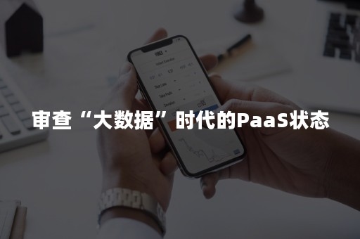 审查“大数据”时代的PaaS状态