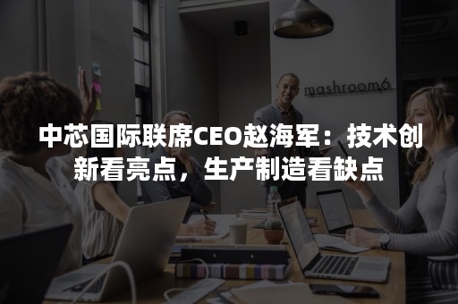 中芯国际联席CEO赵海军：技术创新看亮点，生产制造看缺点