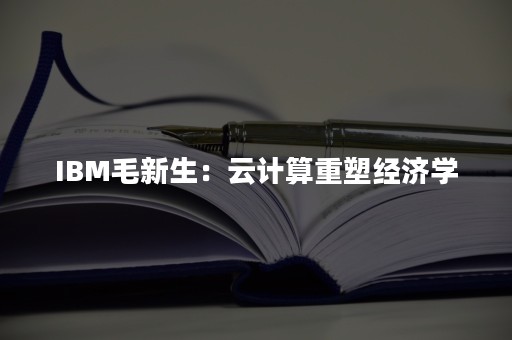 IBM毛新生：云计算重塑经济学