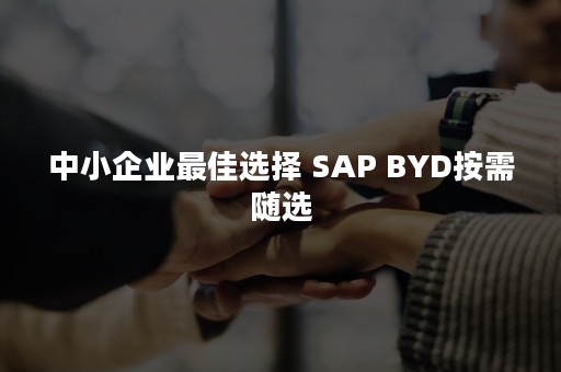 中小企业最佳选择 SAP BYD按需随选