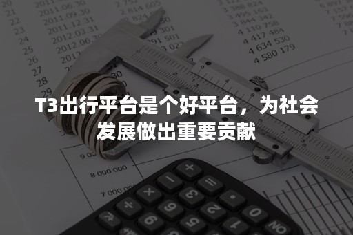 T3出行平台是个好平台，为社会发展做出重要贡献