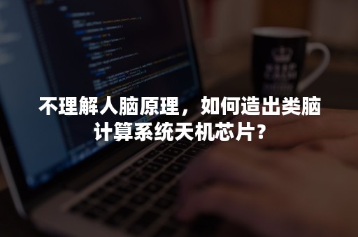 不理解人脑原理，如何造出类脑计算系统天机芯片？