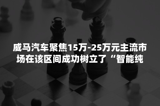 威马汽车聚焦15万-25万元主流市场在该区间成功树立了“智能纯电”标签